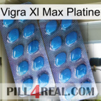 Vigra Xl Max Platinum viagra2